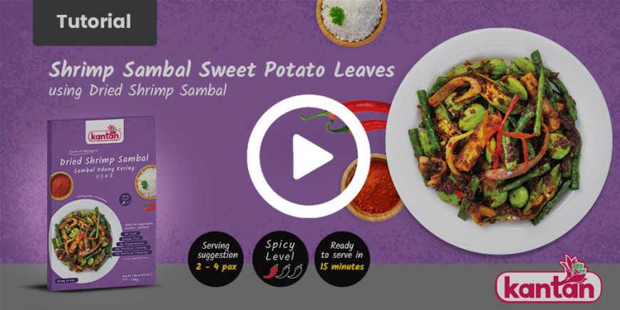 shrimp sambal sweet potato leaves tutorial by kantan